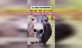 大驴影视爆料视频大全,视频大全精彩瞬间大揭秘